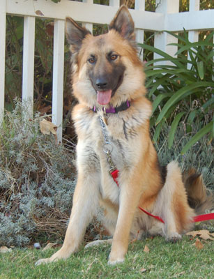 Sedona von Tidwell sitting